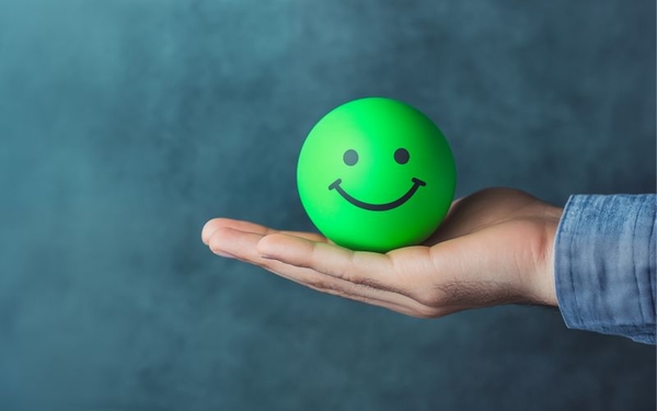 /public/moduli/scheda/43137/md/PROMOTING WELL-BEING IN SCHOOLS(1).jpg